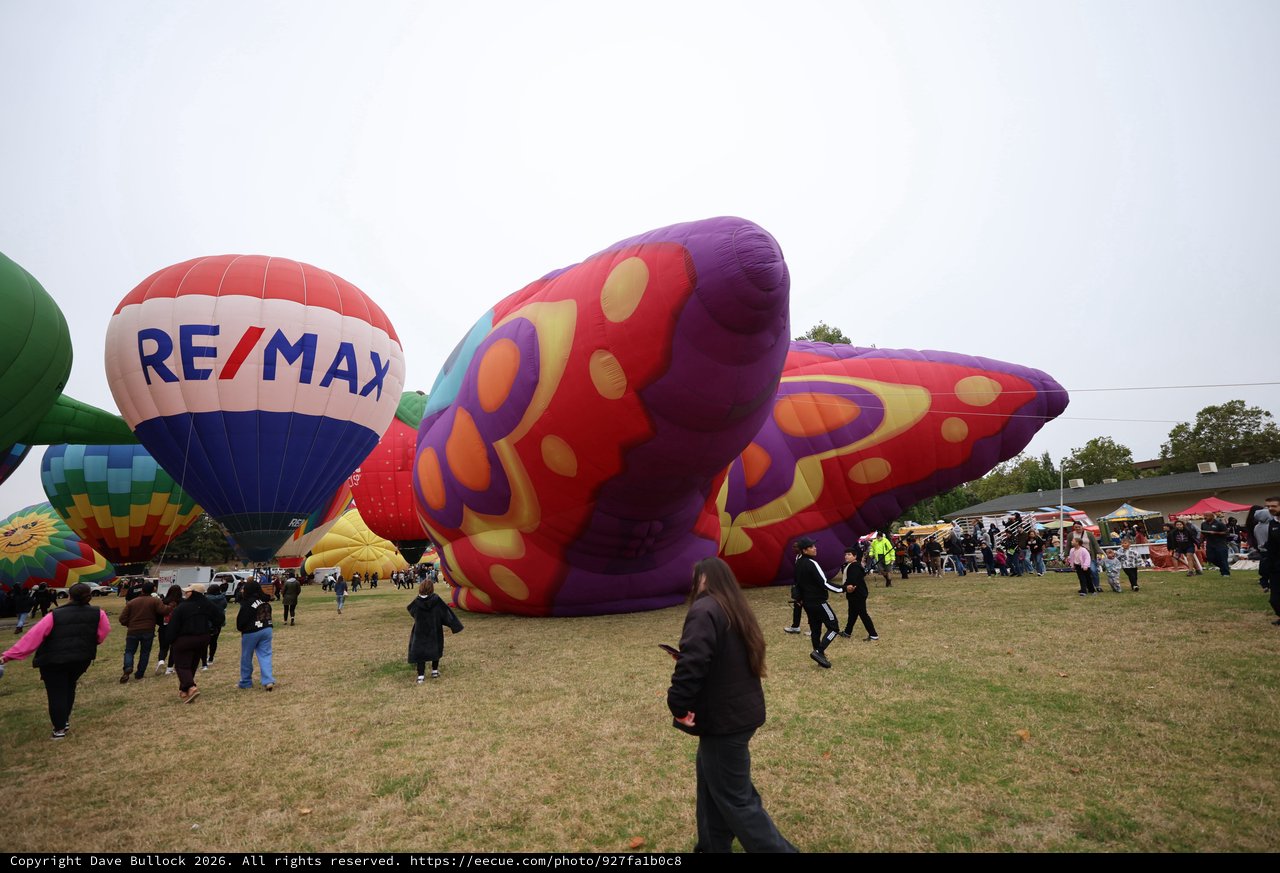 Colorful Hot Air Balloons at Sonoma County Classic