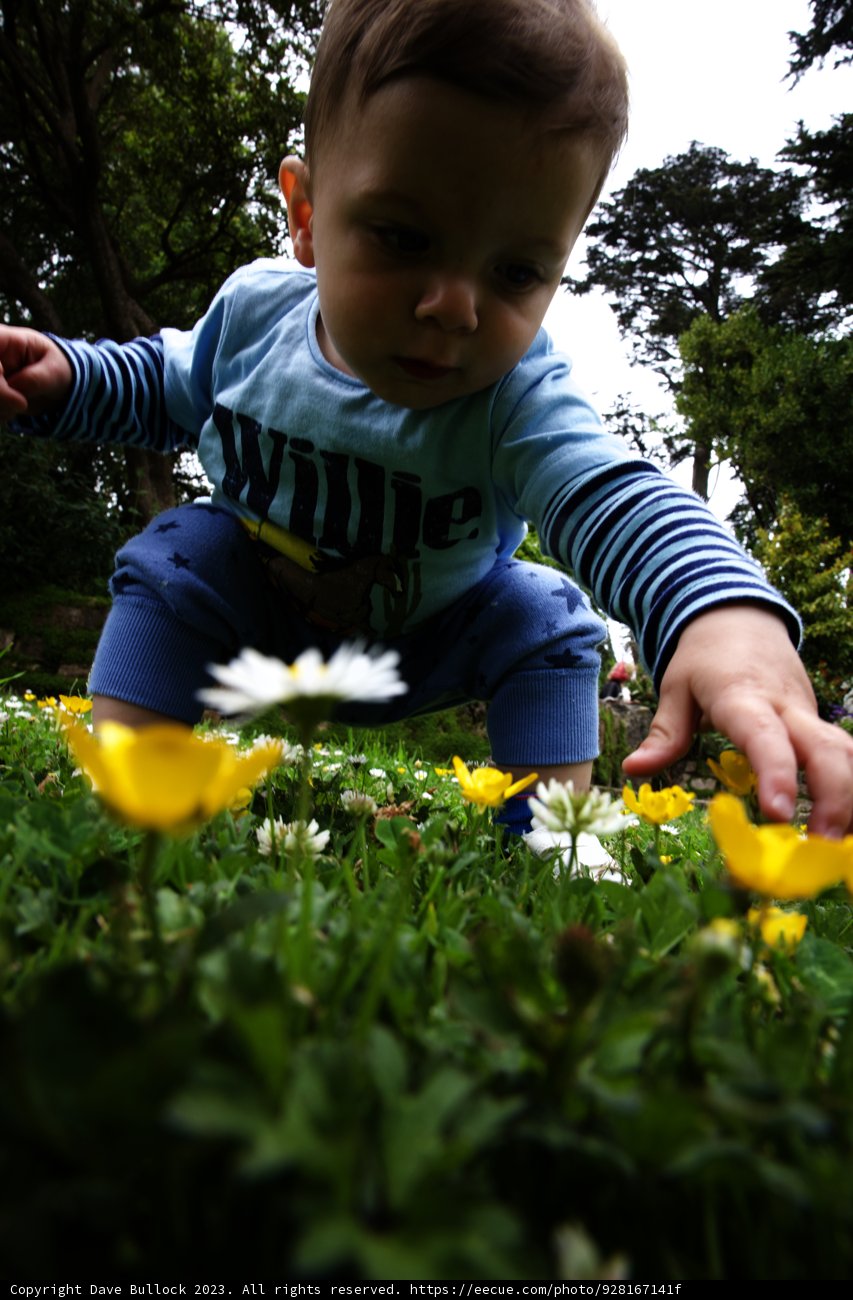 Blooming Adventures in the Botanical Garden