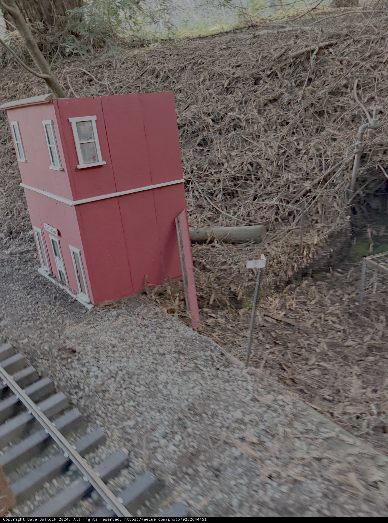 Pink Dollhouse in Overgrown Garden Setting