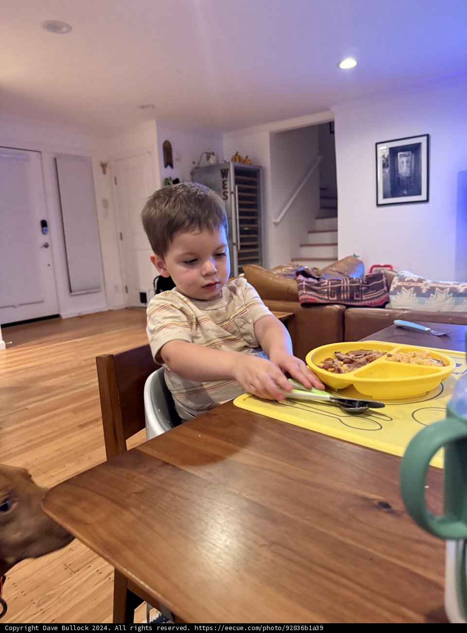 Lunchtime Adventures in the Dining Room