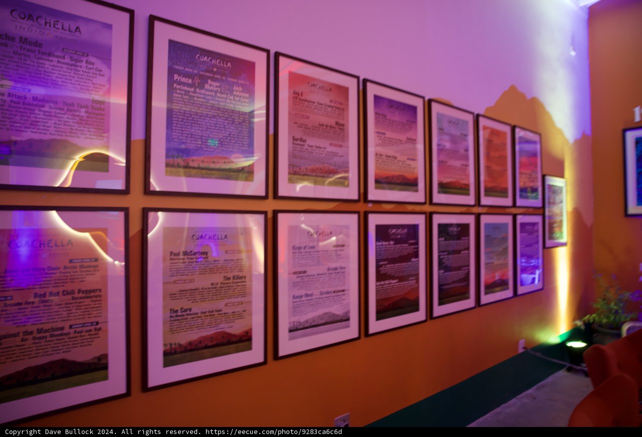 Echoes of Coachella: A Visual Homage to Music and Art
