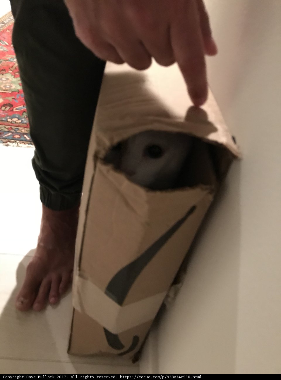 Mouse Keeper