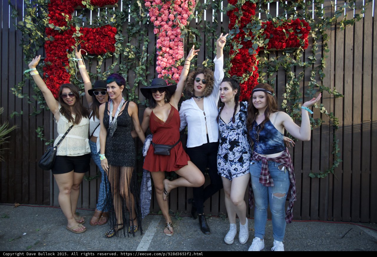 Rock On Rose Wall