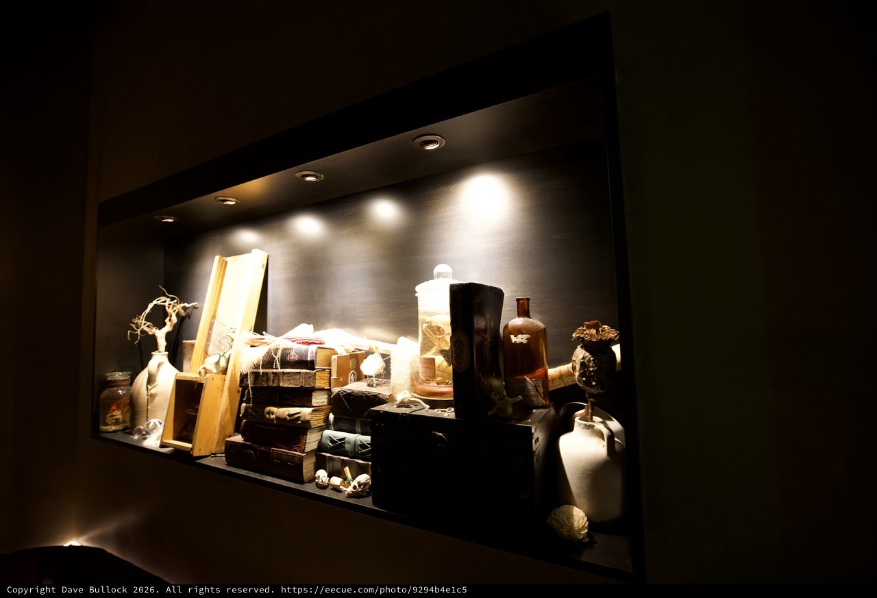 Cabinet of Curiosities: Illuminated Museum Display