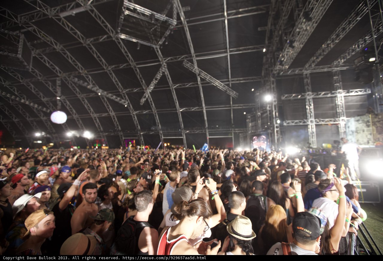 Coachella Concert Crowd