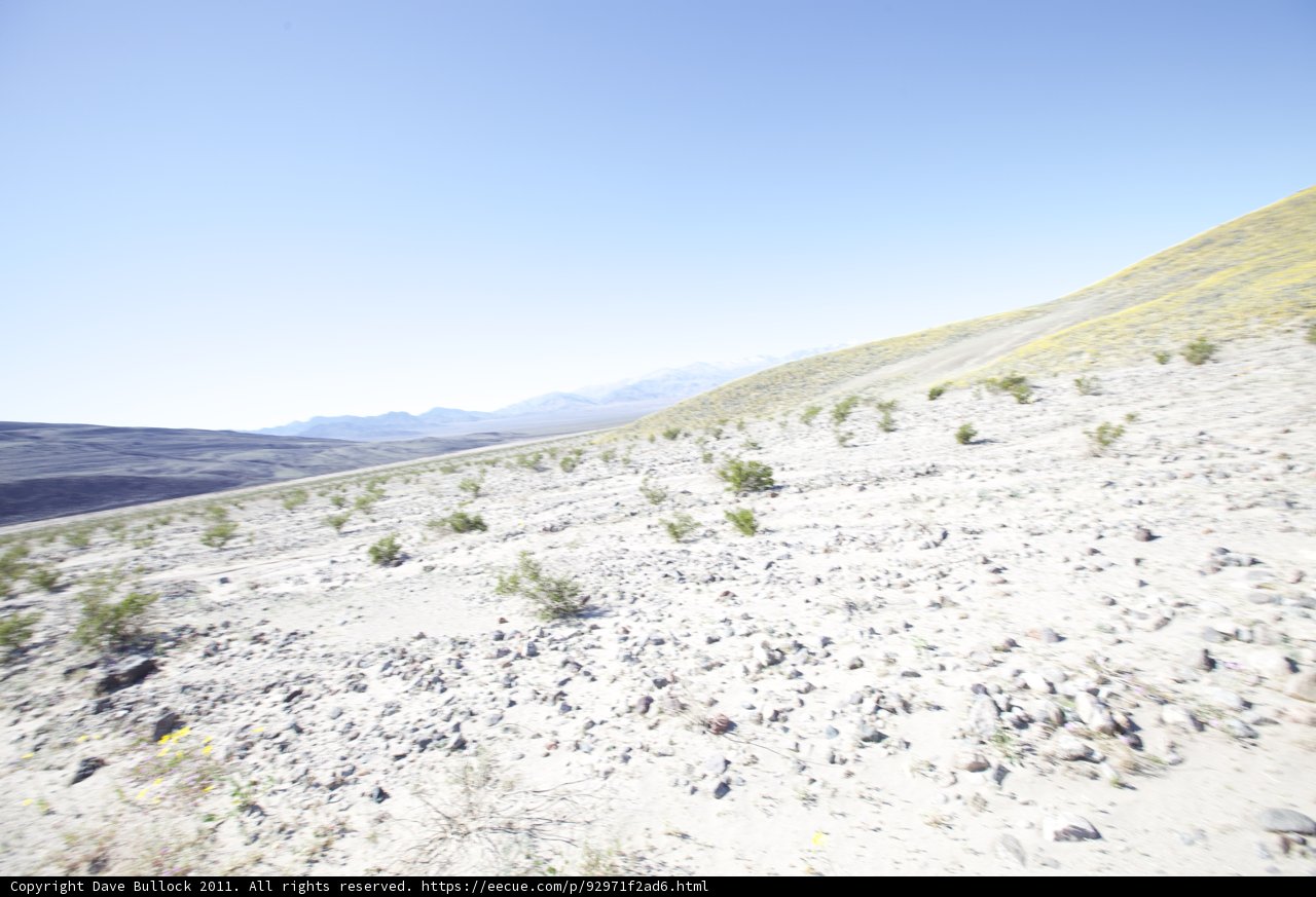 Desert Landscape