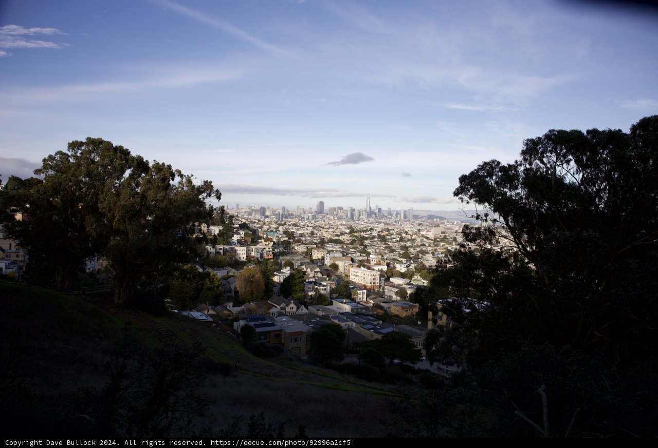 Urban Wilderness: A Night-Time Metropolis View from the Hillside