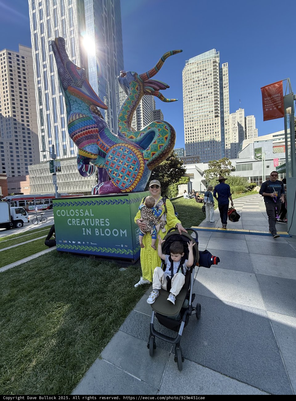 Urban Wonders and Playful Discoveries