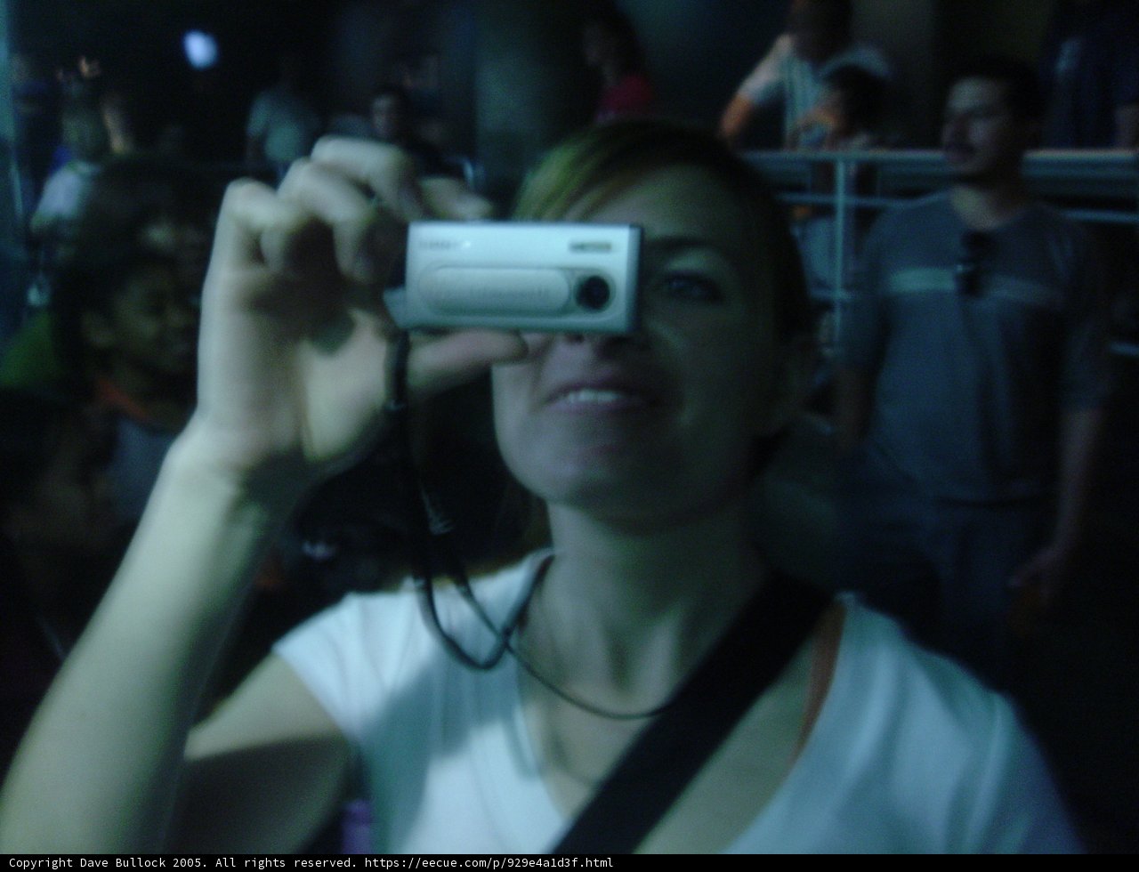 Capturing Memories