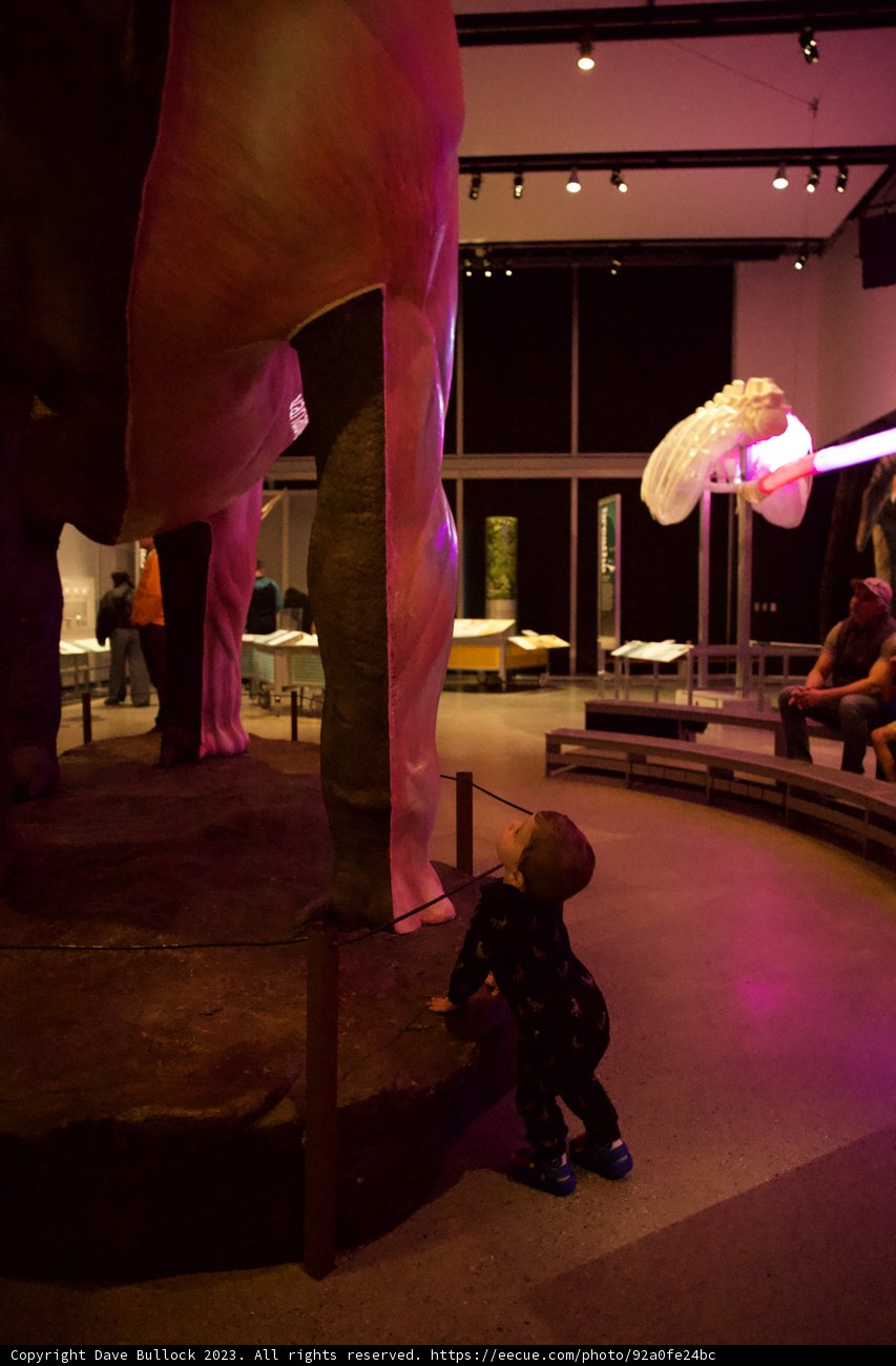 Infant Fascination: A First Encounter