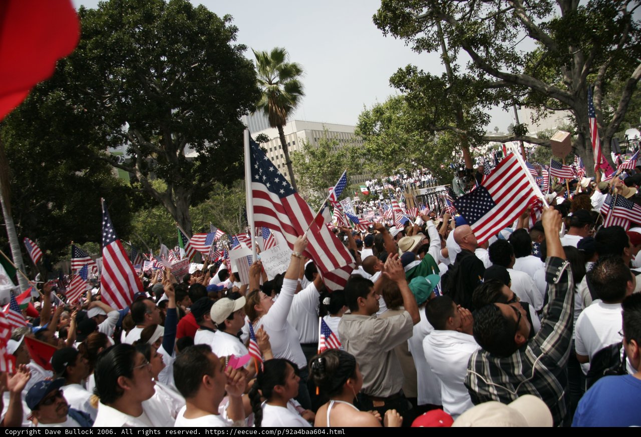 Patriotic Crowd