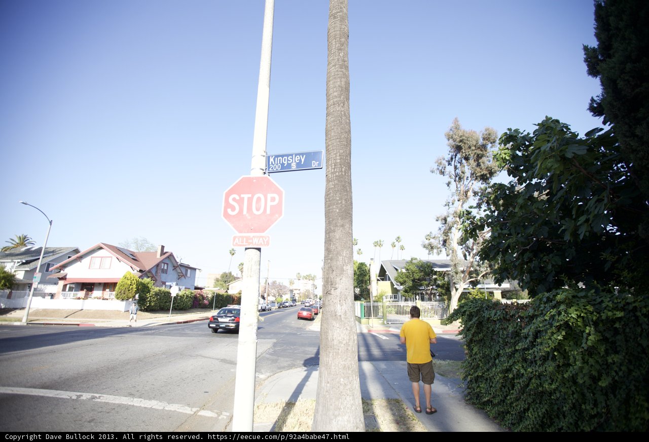 Stop and Observe