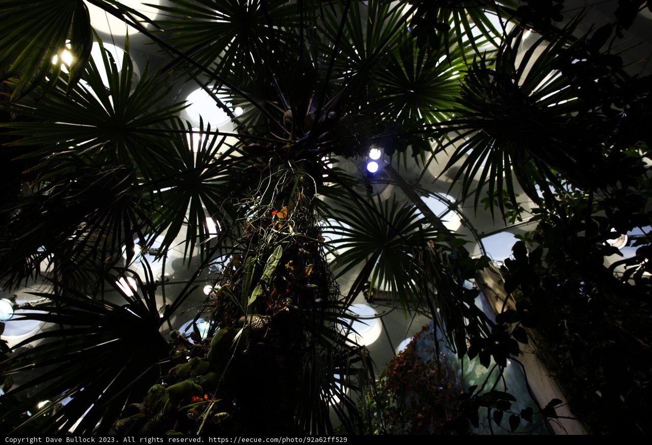 Serene Sanctuary at the California Academy of Sciences