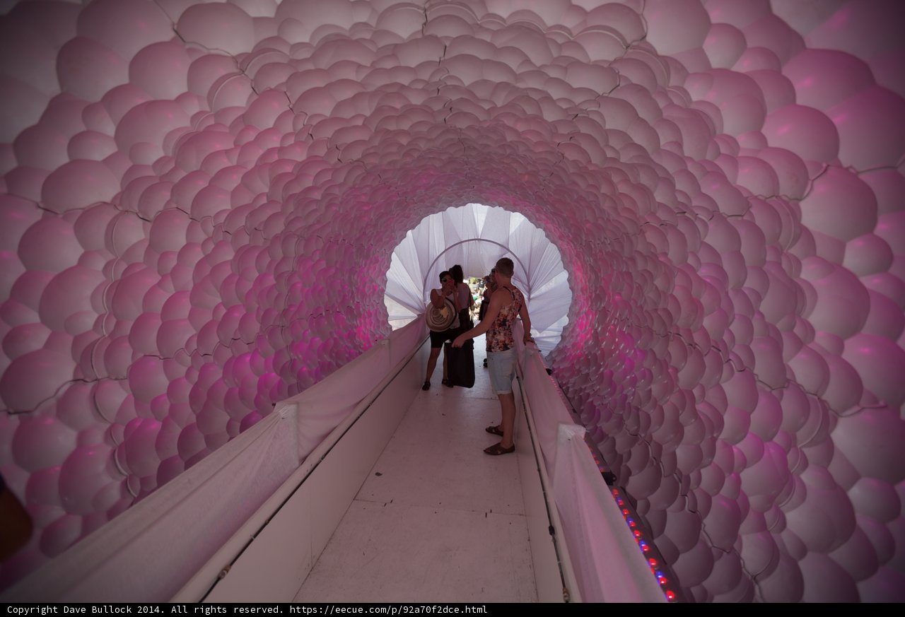Walking Through a Tunnel of Pink Balloons