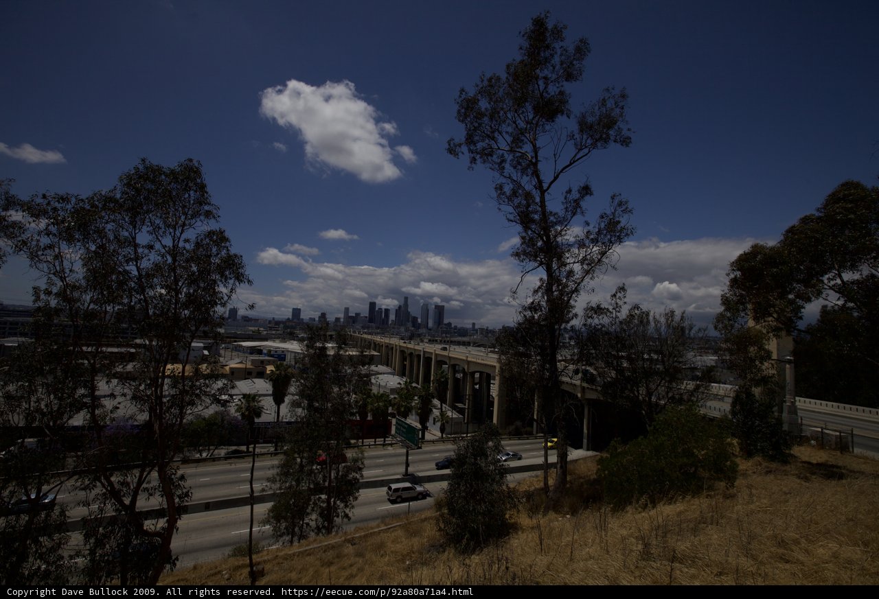Skyline Vista from Vernon Hill