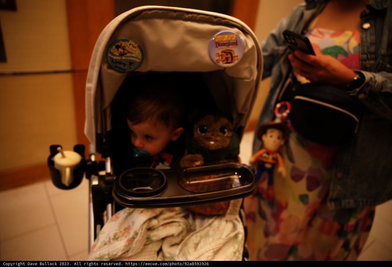 Wesley's Disneyland Adventure Part 2
