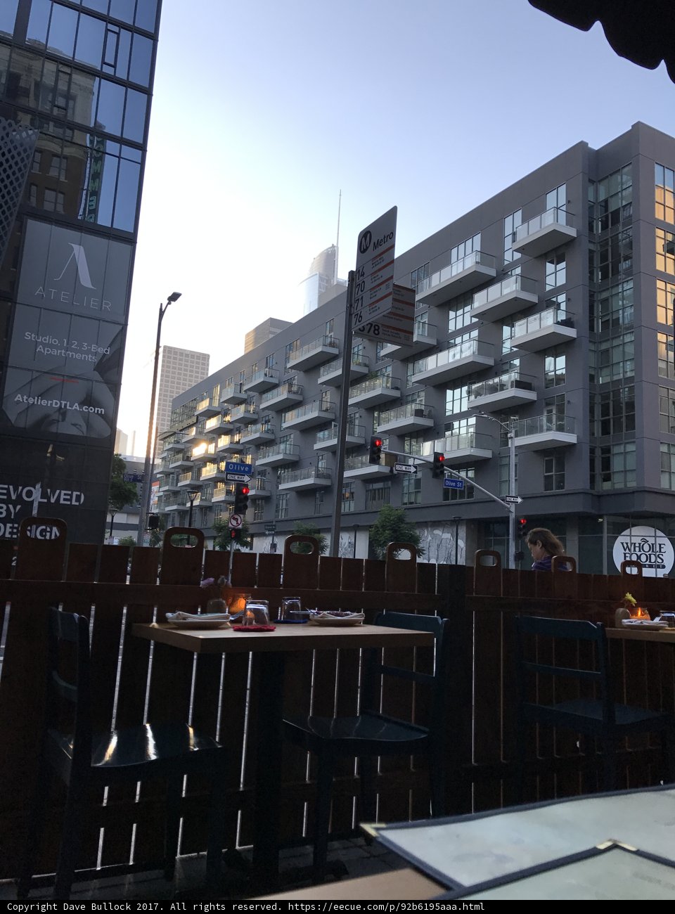 Dining in the Urban Jungle