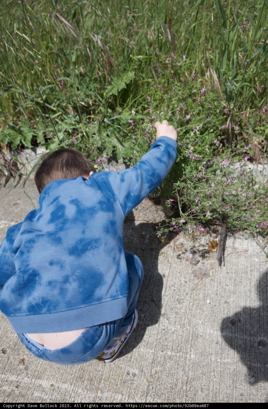 Discovering Nature's Wonders