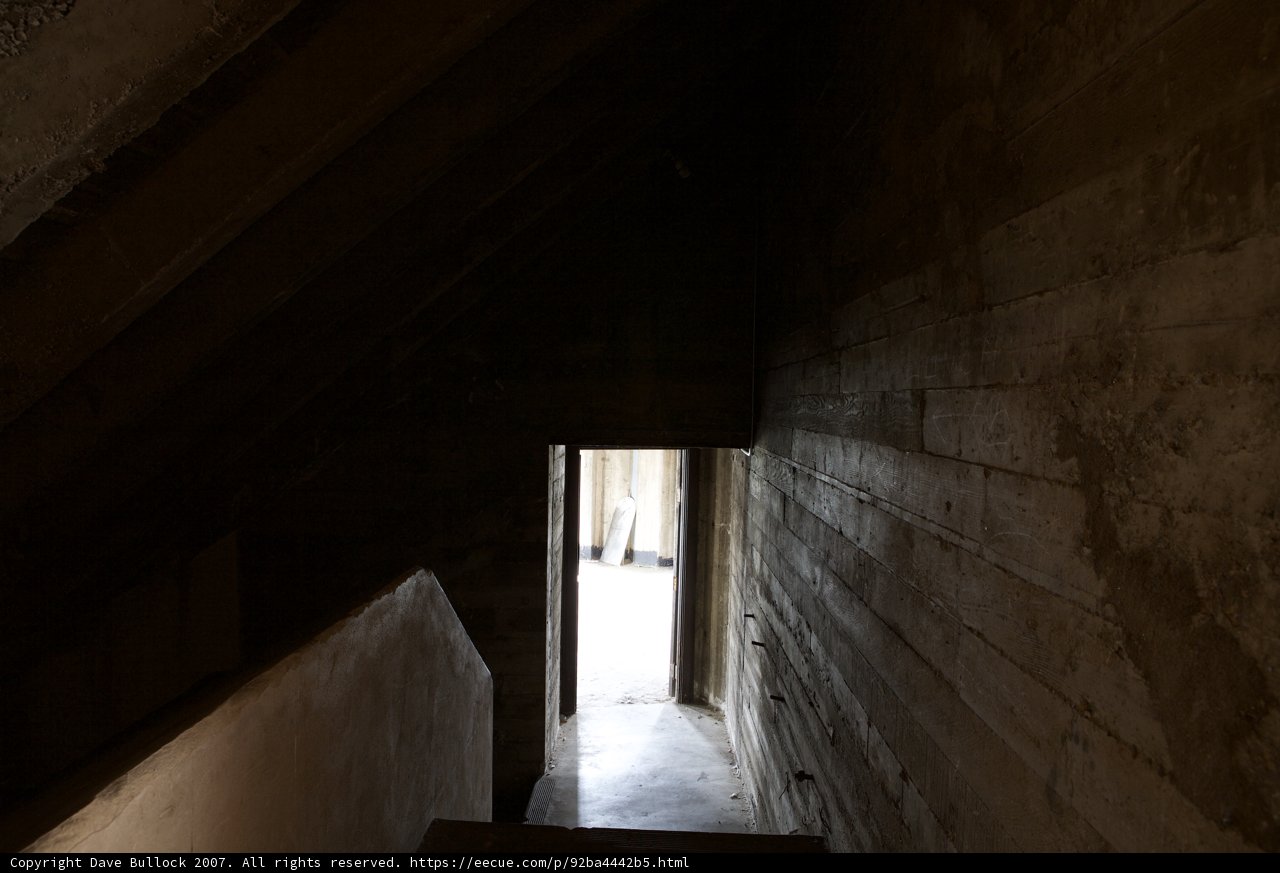 The Light at the End of the Tunnel