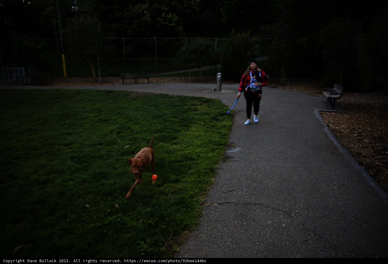 A Leisurely Stroll in the Park
