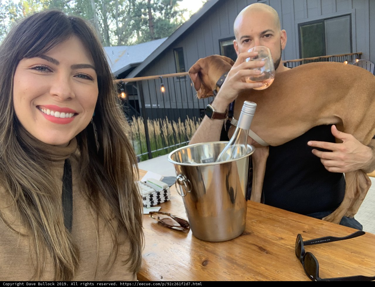 An Evening with Friends and Furry Companions