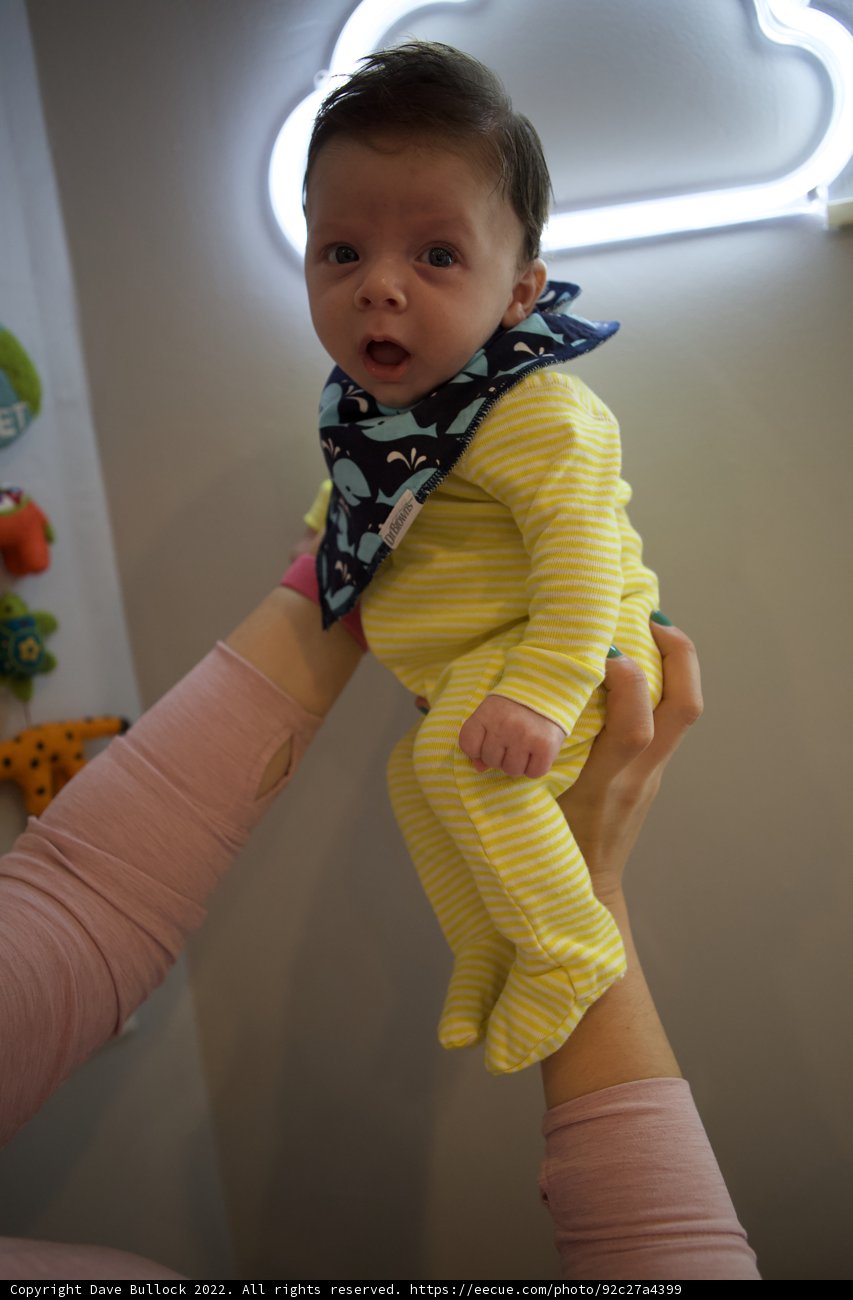 The Joy of Parenthood