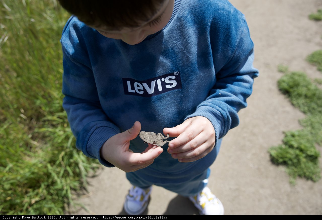 Curious Discoveries