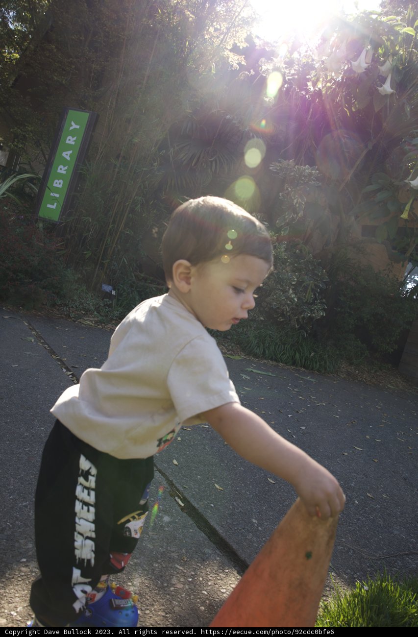 Skateboarding Adventures in the Botanical Garden