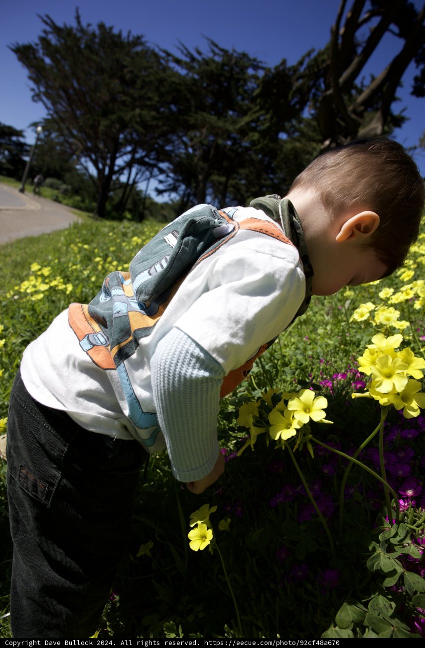 Innocent Curiosity: A Boy and A Daisy