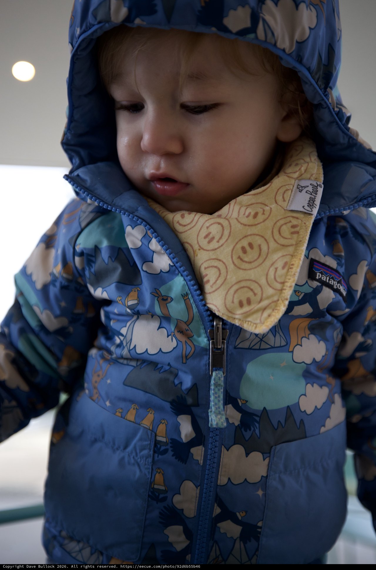 Young Child in Blue Patterned Winter Jacket