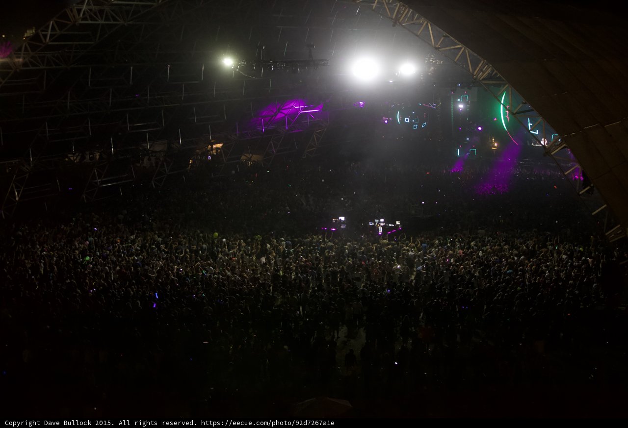 Spotlight on the Crowd