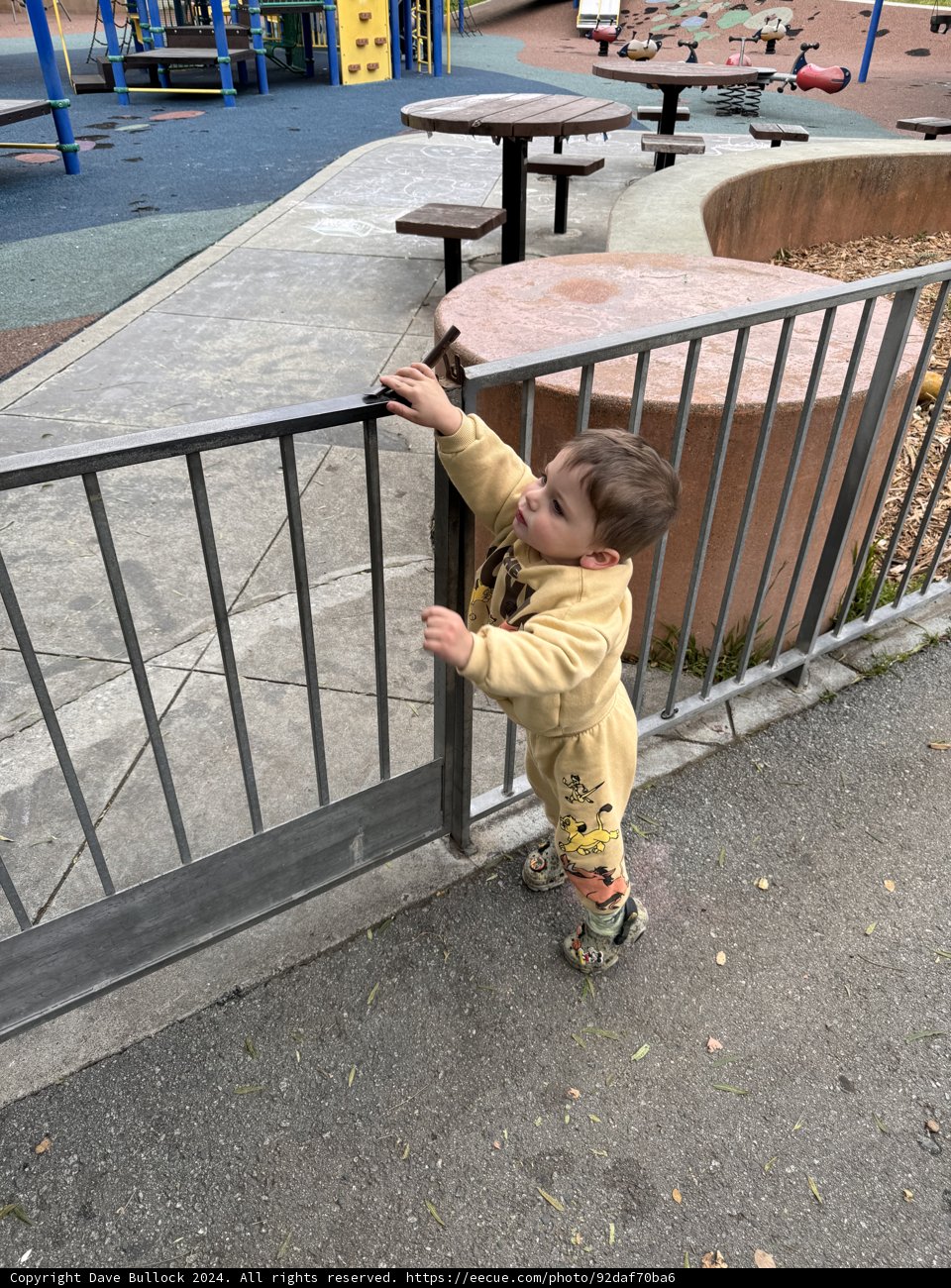 Little Explorer at Play