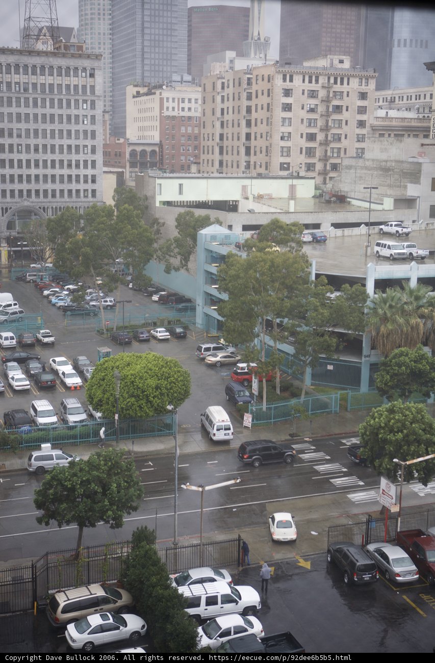 Wet City Gridlock