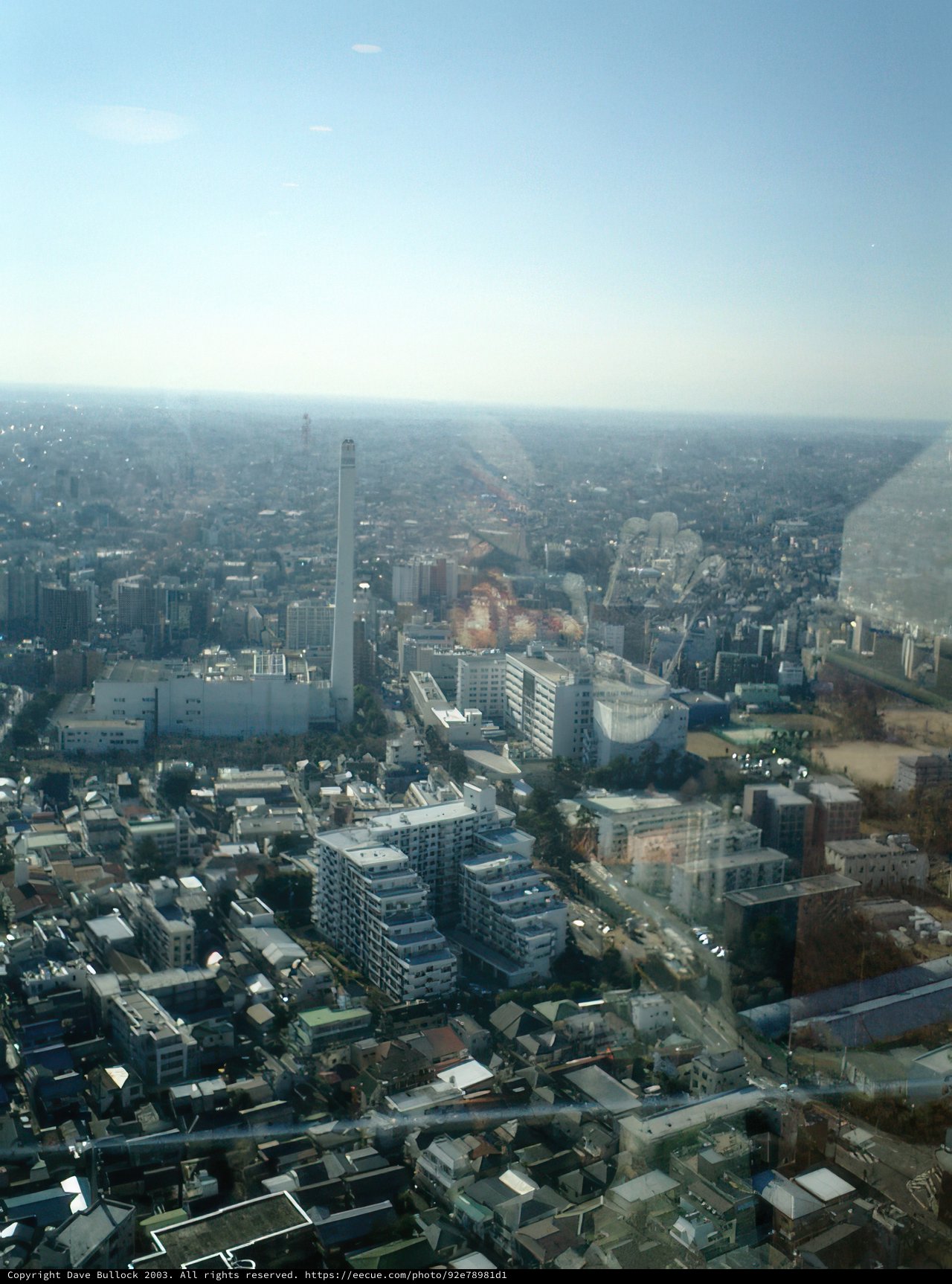 Overlooking Tokyo's Metropolis