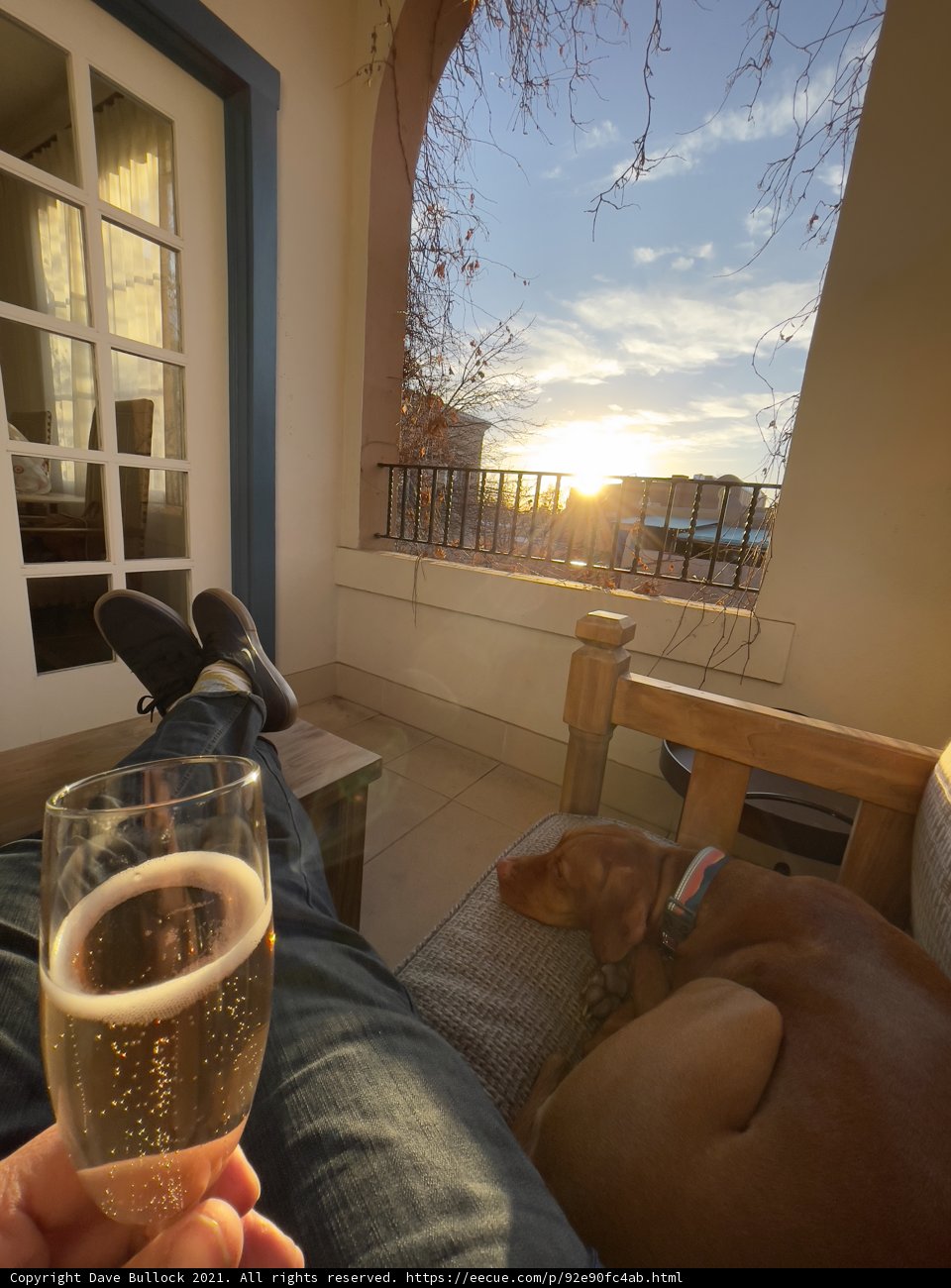 Cozy Evening with Wine