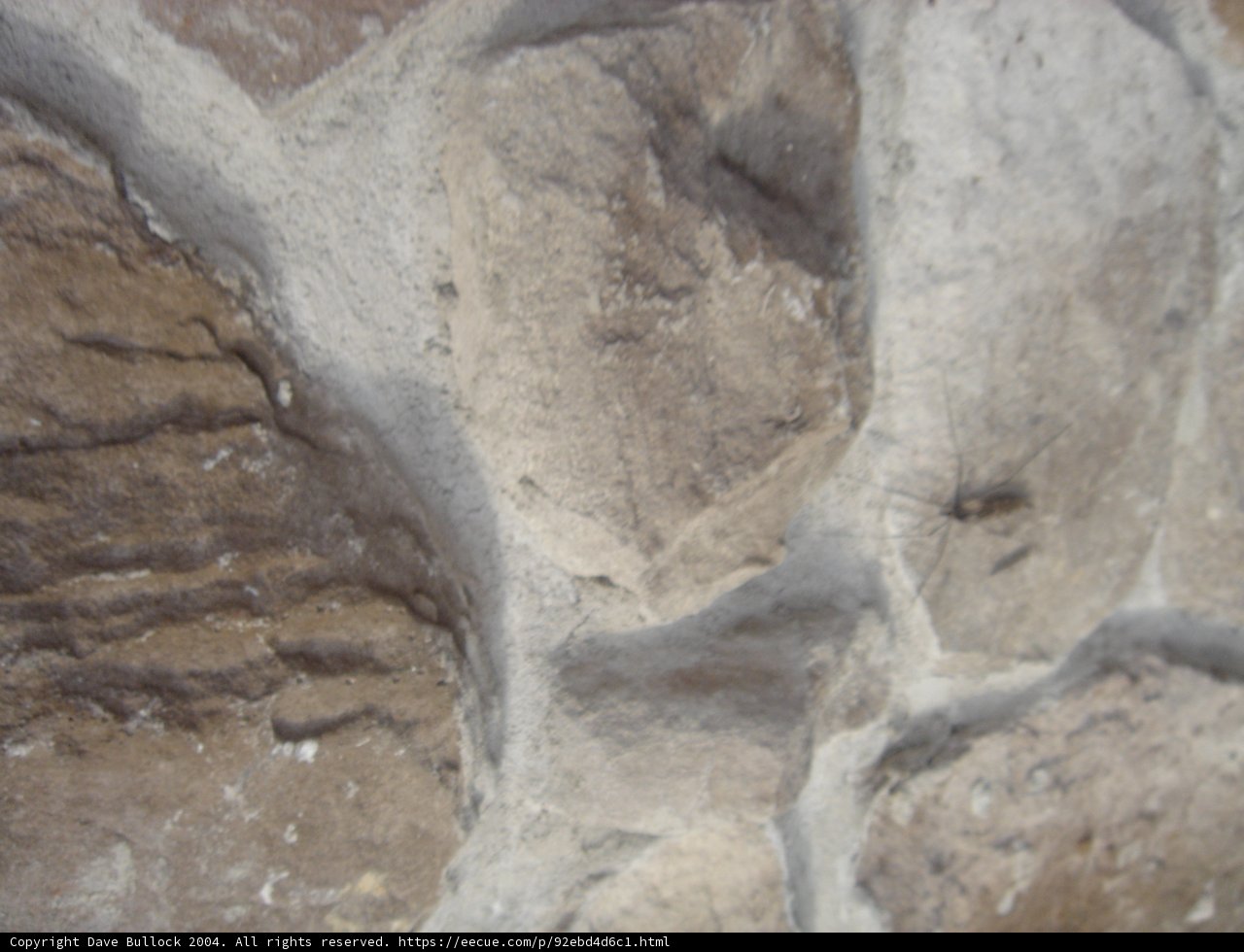 Cracks in the Wall