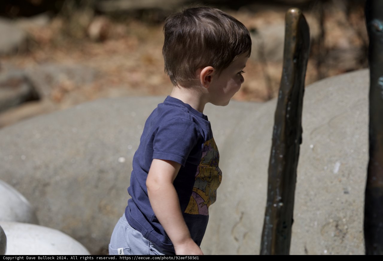 Exploring Innocence