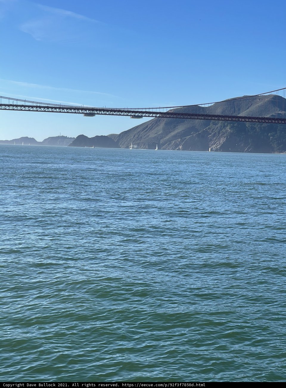 Golden Gate Beauty