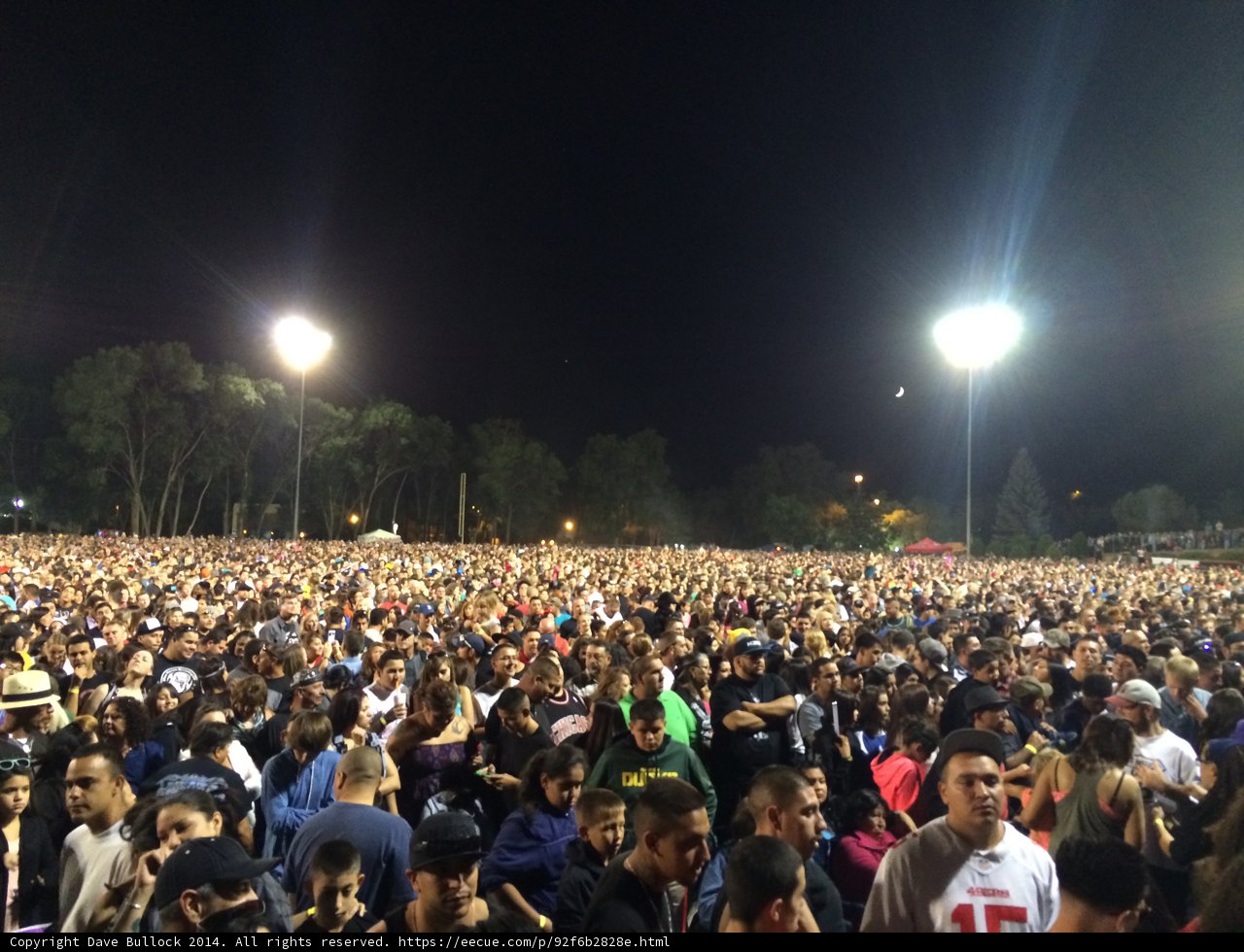 Night Sky Concert Crowd