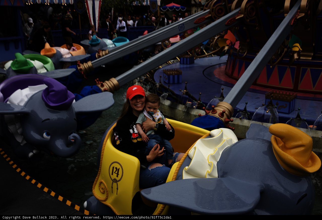 Magical Carousel Moments at Disneyland