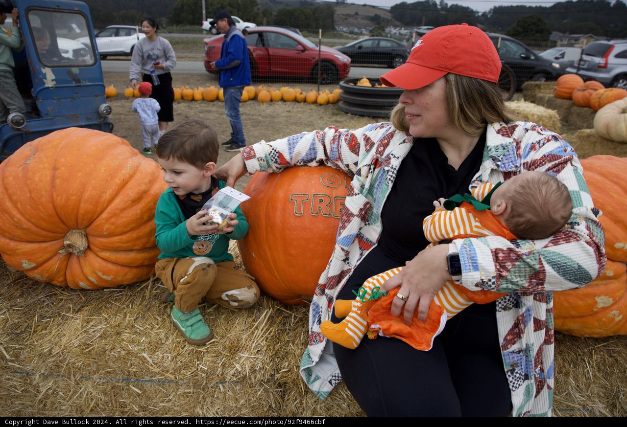 Pumpkin Patch Memories