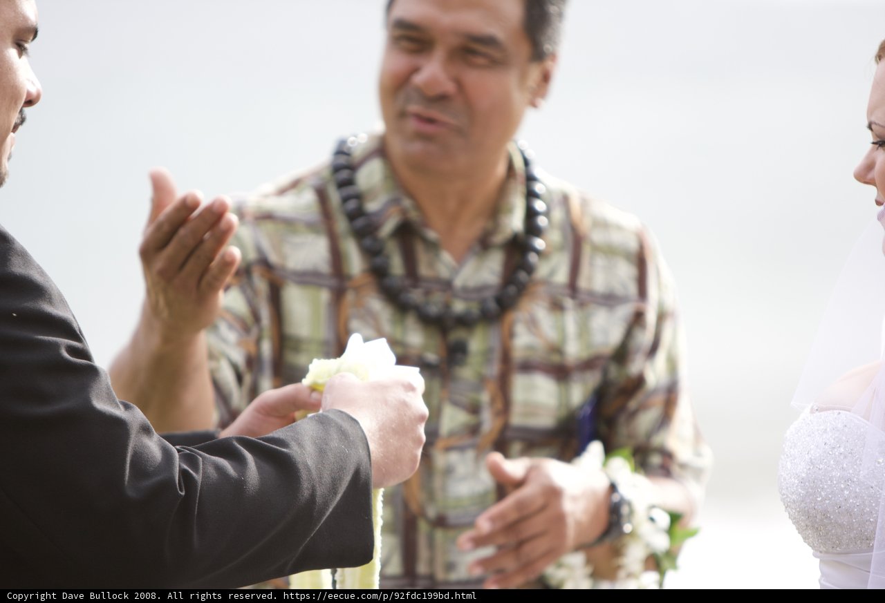 A Hawaiian Wedding