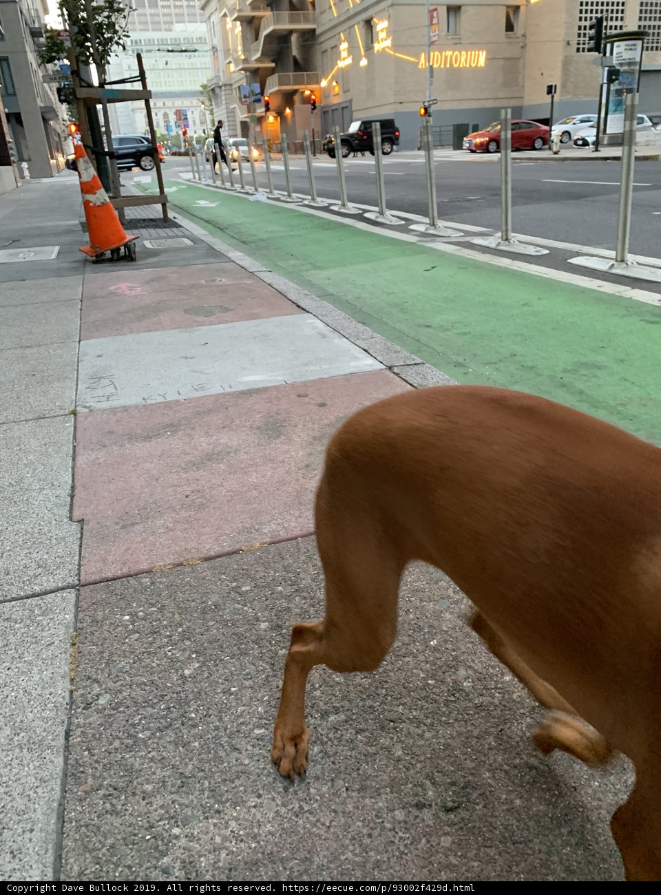 The City Sidewalk