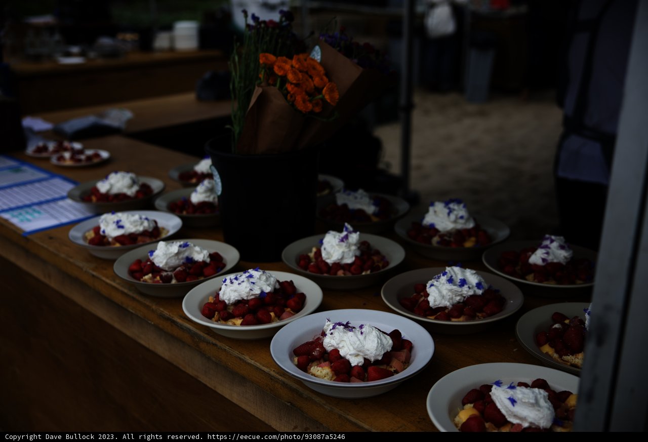 A Delectable Array of Desserts in Pescadero