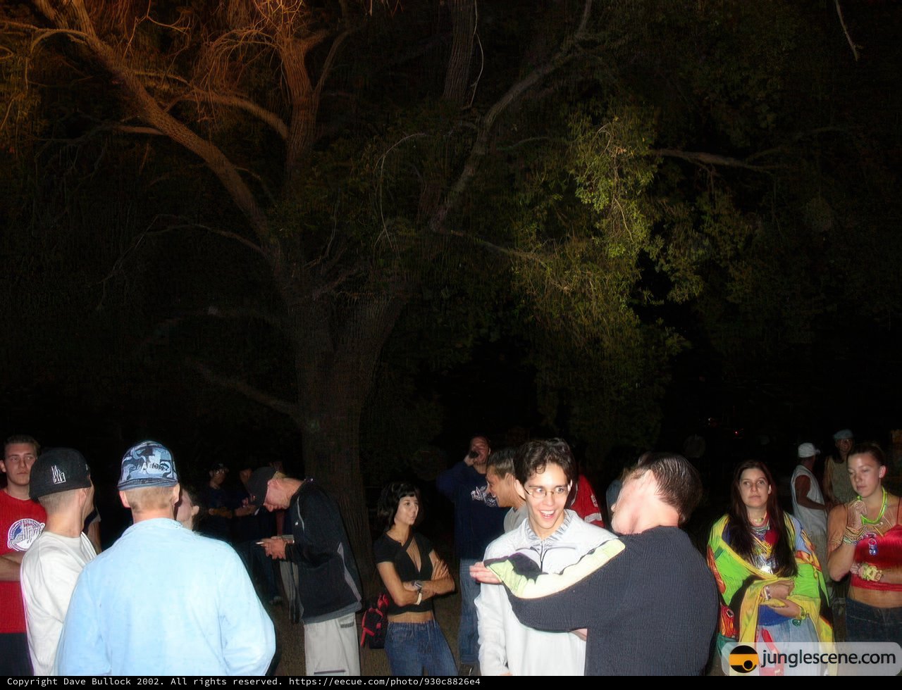 Nighttime Gathering Under the Tree