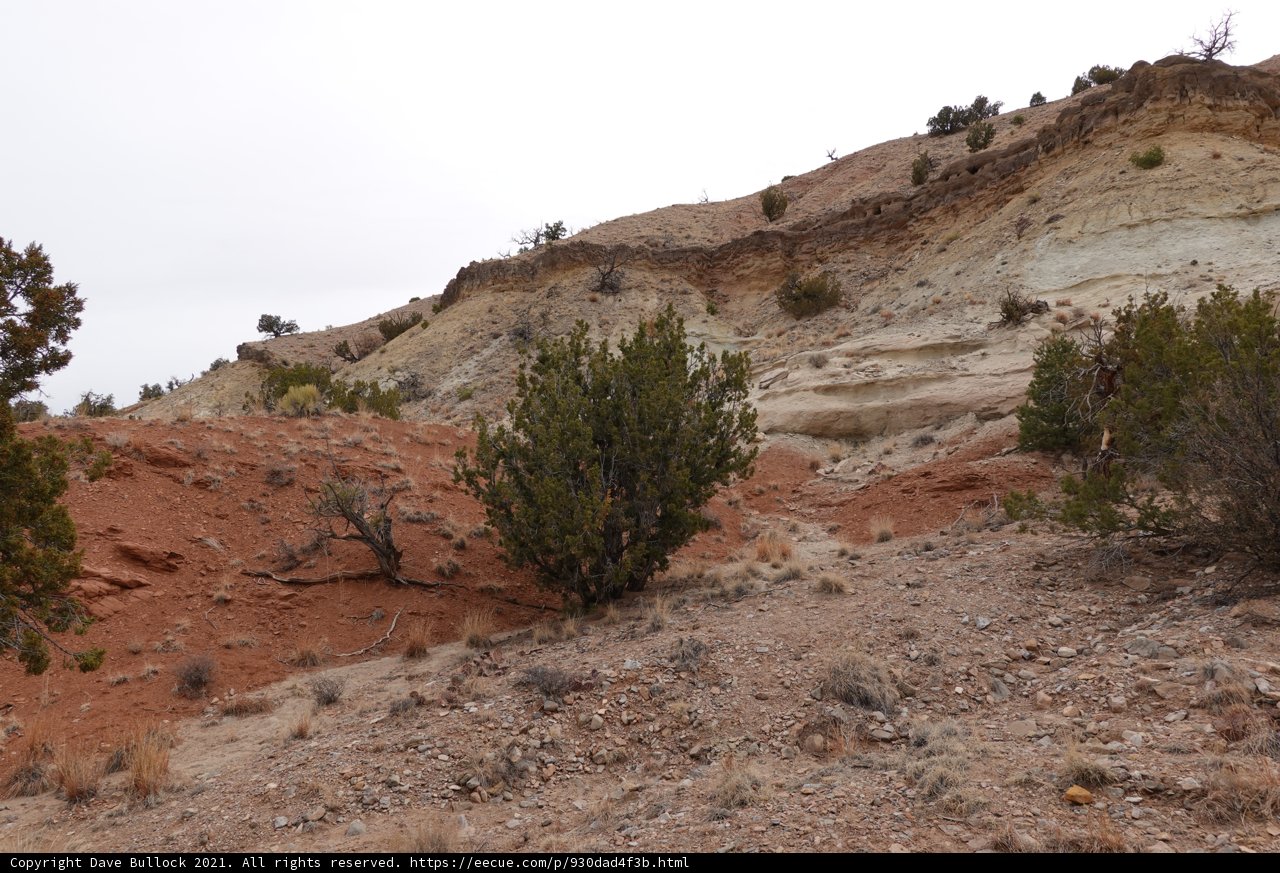 Solitude on the Rocky Hill
