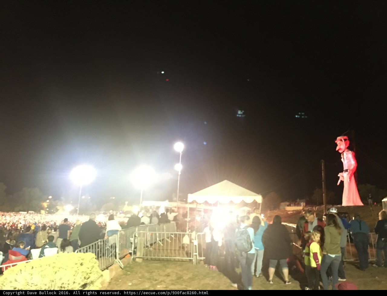 Nighttime Concert Crowd