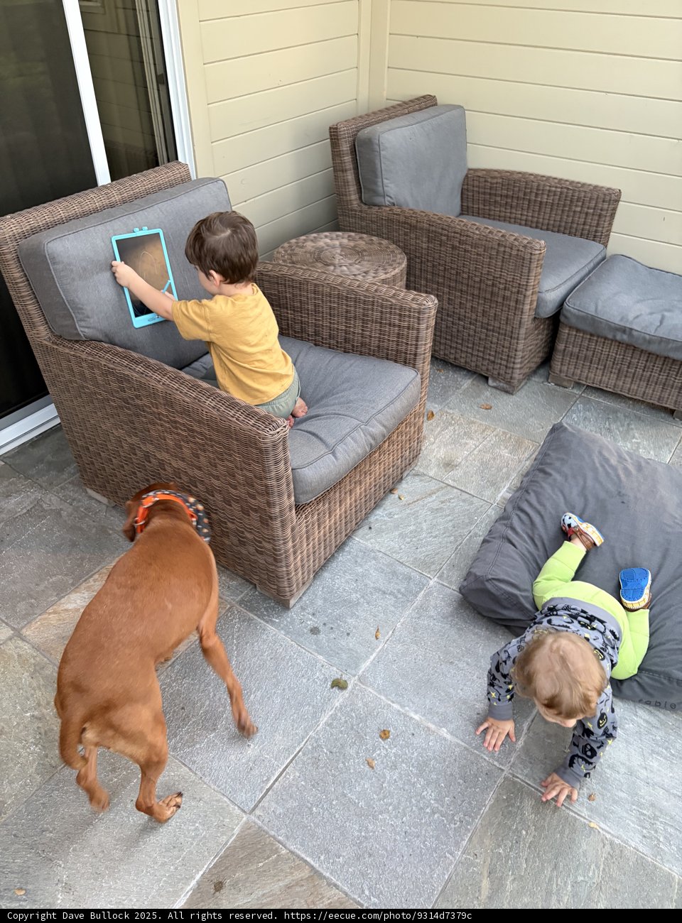 Afternoon Playtime in Carmel