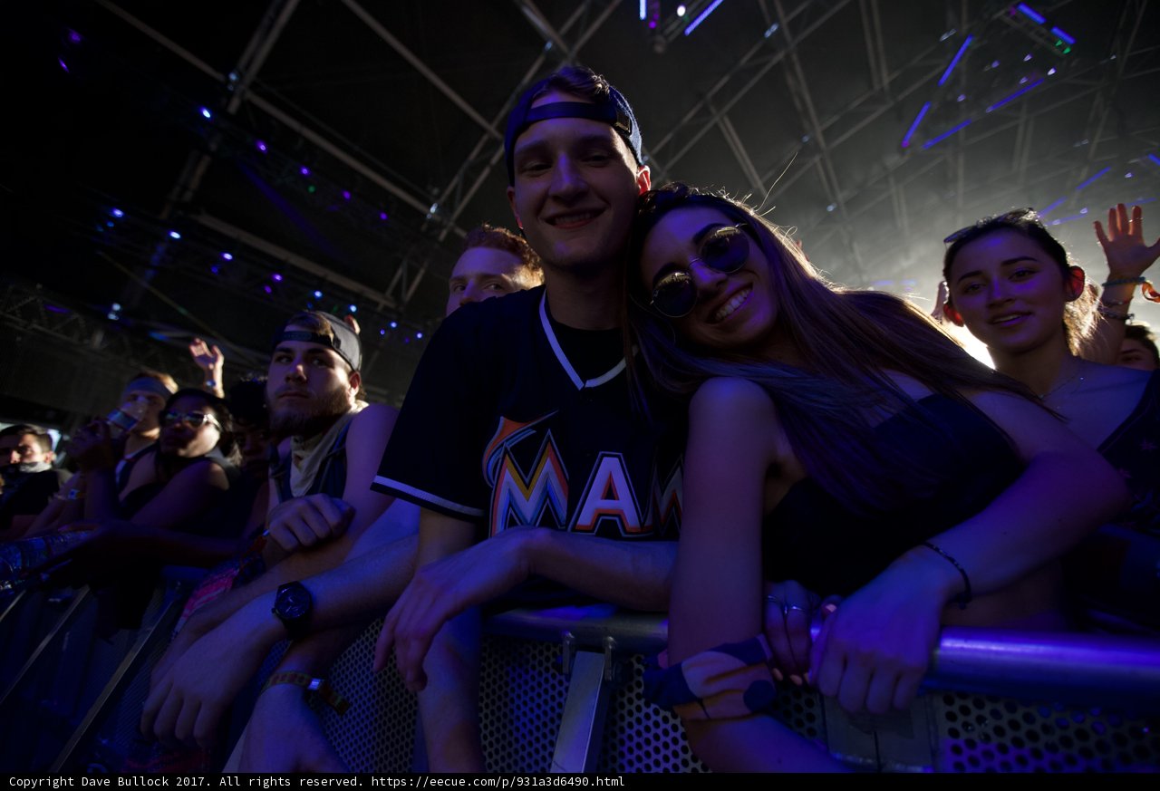 Smiling Amongst the Crowd at Coachella