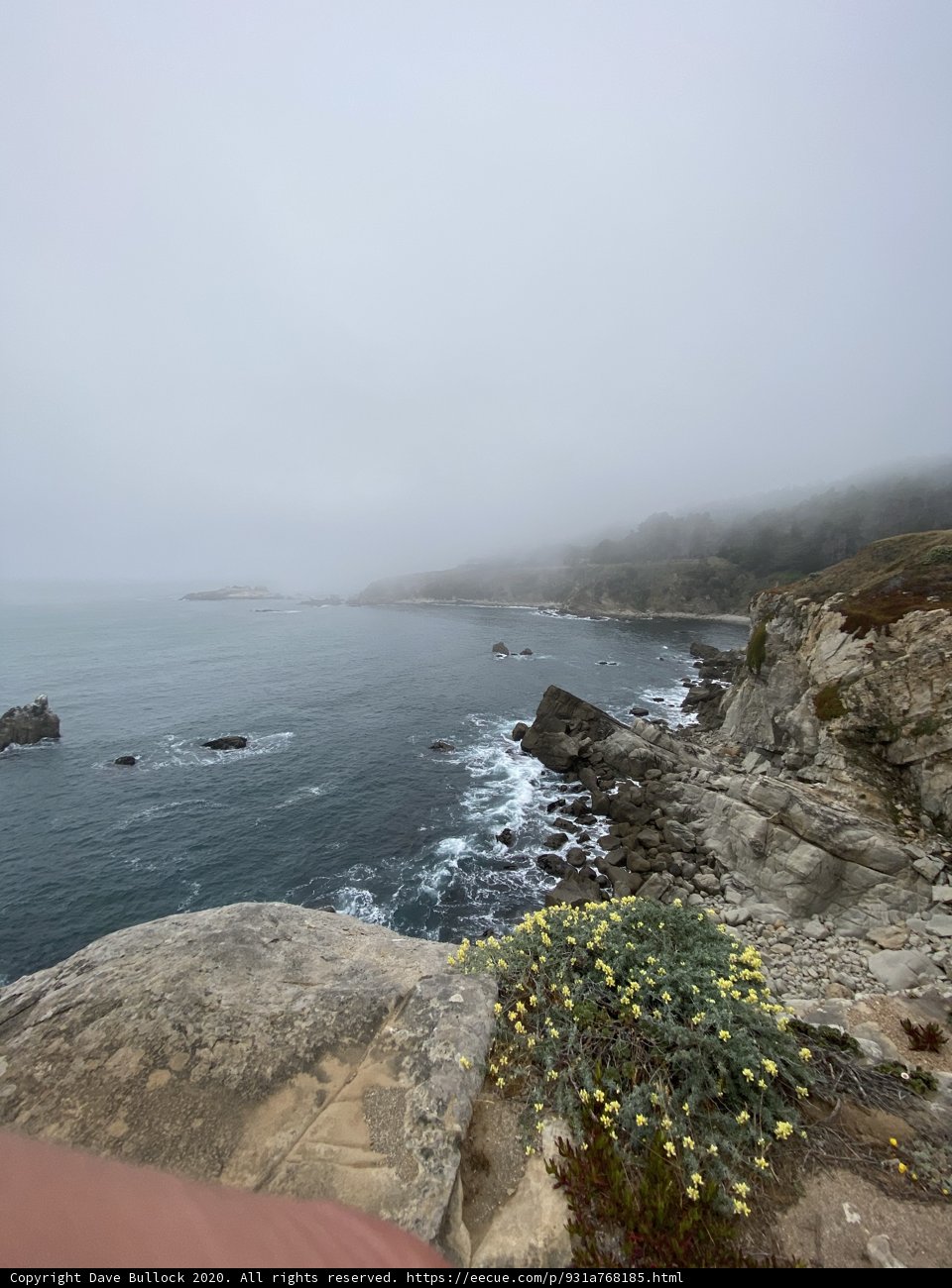 The Serene Promontory